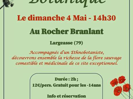 Balade botanique au Rocher Branlant