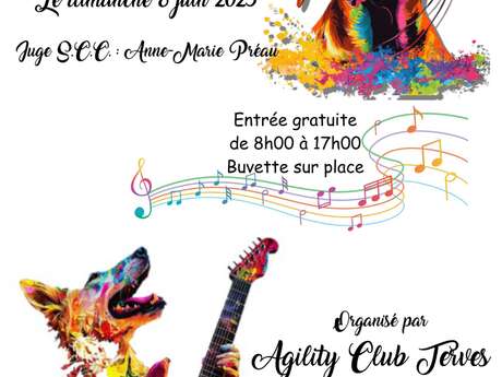 Concours de dog dancing