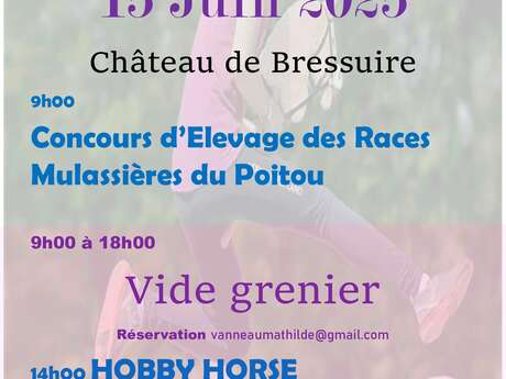 L'A'Trait Bressuirais - Concours des races mulassières et vide-grenier