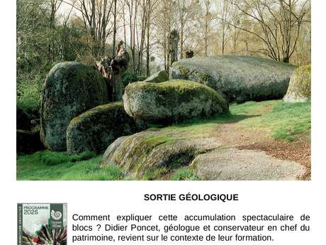Sortie géologique - Les chaos de blocs de la Morelière