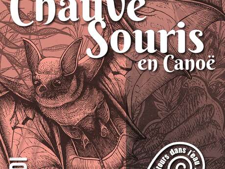Les chauves-souris de l'Argenton en canoë