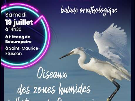 L'Aggl'eau Show - Balade ornithologique