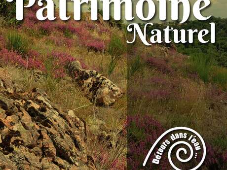 Exposition patrimoine naturel