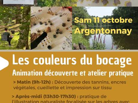 Illustration naturaliste