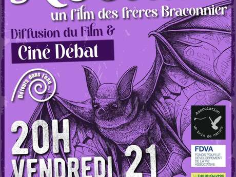 Ciné-débat - Noctule Ciné-débat - Noctule