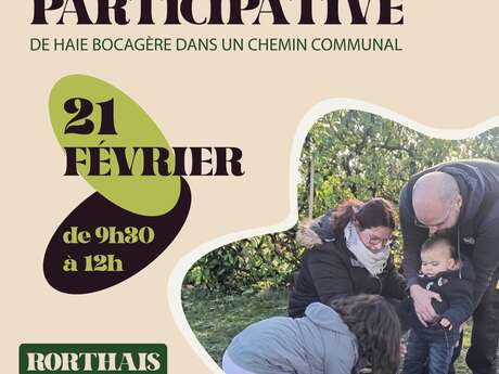 Plantation participative