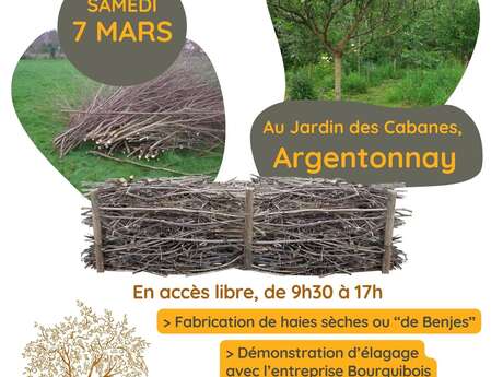 Sortie nature - Atelier haies champêtres et arbres tétards