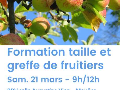 Sortie nature - Greffage en salle puis taille au verger