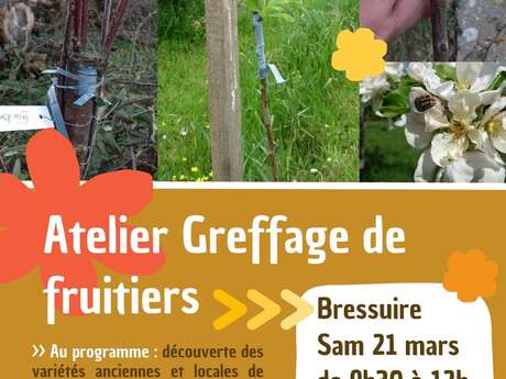 Sortie nature - Atelier greffage d'arbres fruitiers