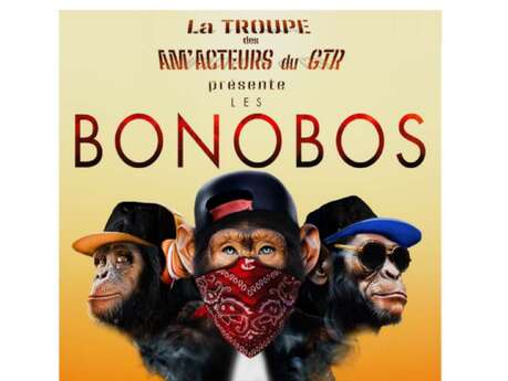 Théâtre - Les Bonobos