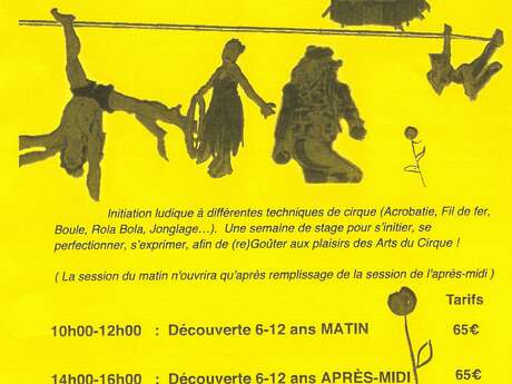 Stage de cirque