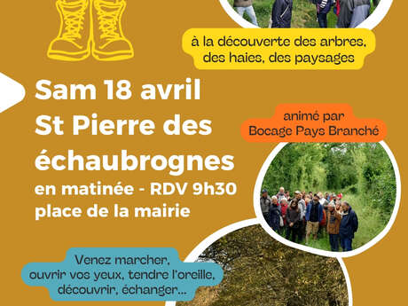 Sortie nature - Balade en bocage