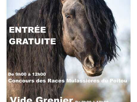 Concours des races mulassières du Poitou et vide-grenier