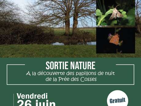 Sortie nature - Les papillons de nuit de la Prée des Cosses