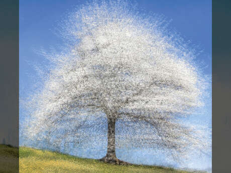 Festival photographique de Moncoutant-sur-Sèvre