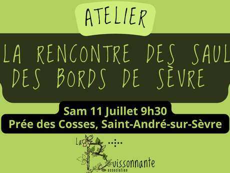 Sortie nature - Découvrez les saules des bords de Sèvre