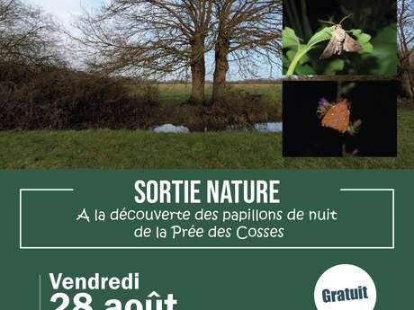 Sortie nature - À la découverte des papillons de nuit de la Prée des Cosses