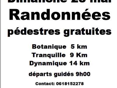 Randonnées pédestres