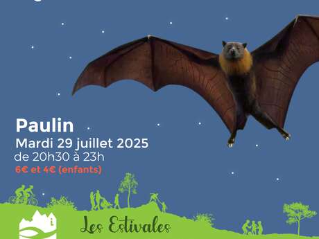 Les Estivales : Bal des chauves-souris à Paulin