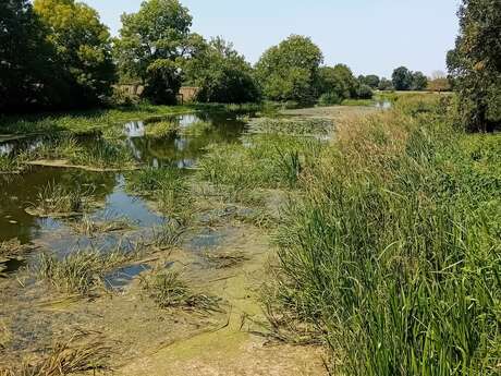 Saint-Amand-sur-Sèvre : circuit n°3