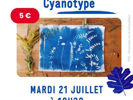 Atelier cyanotype