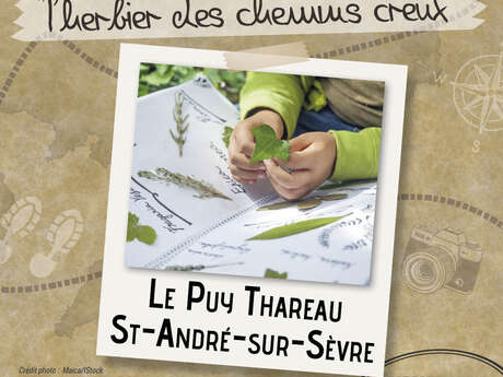 Visites Estivales 2021 - A la découverte du monde végétal "l'herbier des chemins creux - chasse plantes" Visites Estivales 2021 - A la découverte du monde végétal "l'herbier des chemins creux - chasse plantes"
