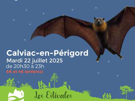 Les Estivales : Bal des chauves-souris à Calviac-en-Périgord
