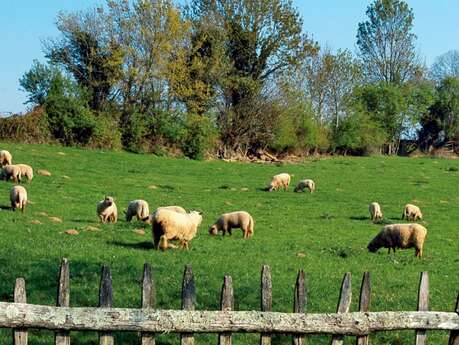 Saint-Paul-en-Gâtine - Aux portes de la Vendée