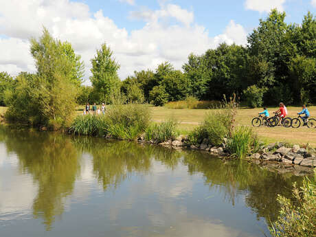 Location de vélo - Pescalis