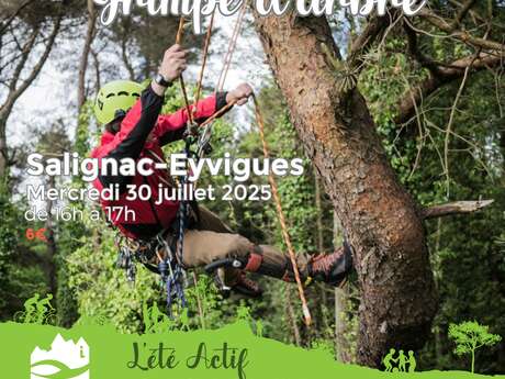 ÉTÉ ACTIF : Grimpe d'arbre à Salignac
