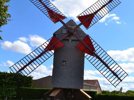 Moulin à vent Pelard