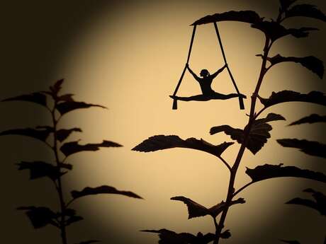 Lecture de contes en musique et ombres chinoises