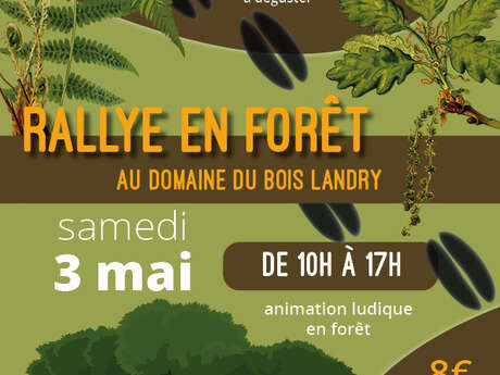 Rallye en forêt