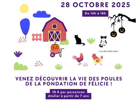 Atelier soins des poules Atelier soins des poules
