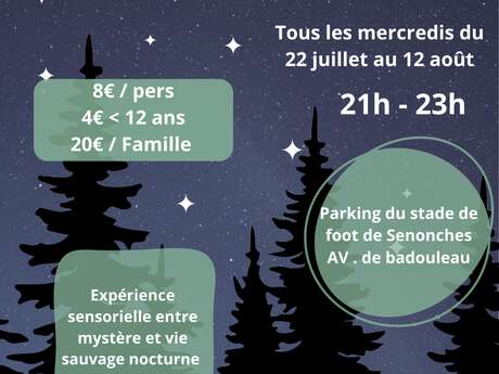 Balade nocturne en forêt domaniale de Senonches