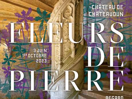 Exposition - Fleurs de pierre, regard botanique sur le patrimoine