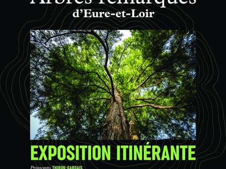 Exposition : Arbres remarqués