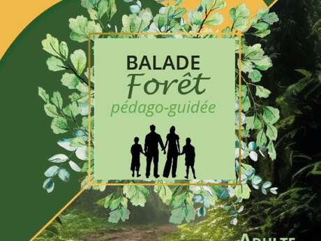 Balade en forêt pédago-guidée