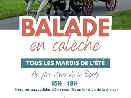 Balade en calèche à La Borde