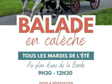 Balade en calèche à La Borde