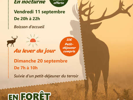 Sorties - Brame du Cerf