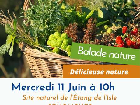 Balade nature - Délicieuse nature Balade nature - Délicieuse nature