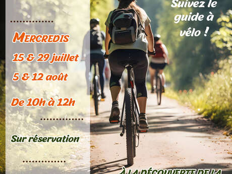Ça roule en forêt !