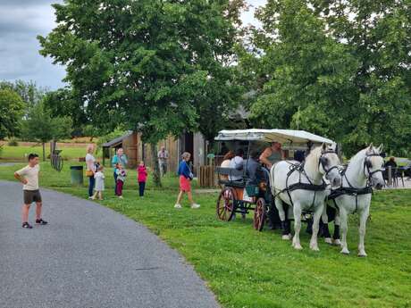 Balade en calèche à La Borde