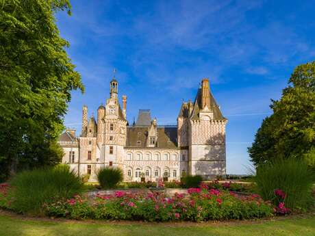 Château de Montigny le Gannelon