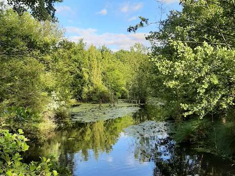 La vallée de la Conie