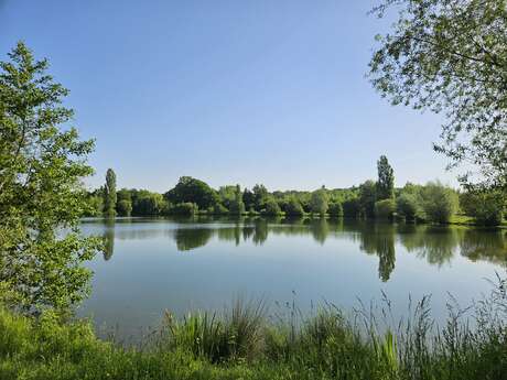 Plans d'eau de la Basse Plaine - Site de pêche labellisé Parcours Passion