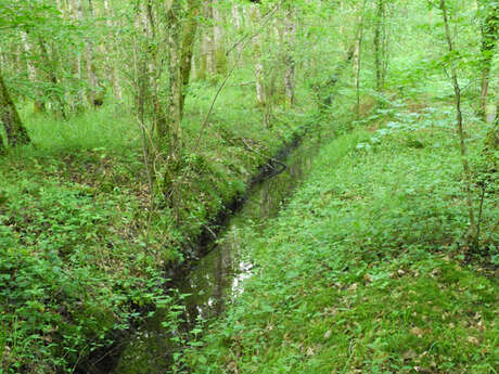 Espace naturel sensible de la Ferté-Vidame