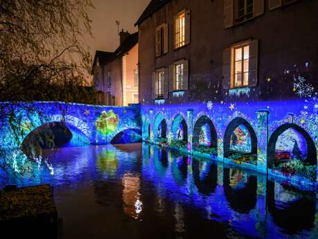 Visite guidée : Chartres en lumières - Fernanda Vieira guide