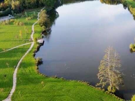 Étang de Barjouville